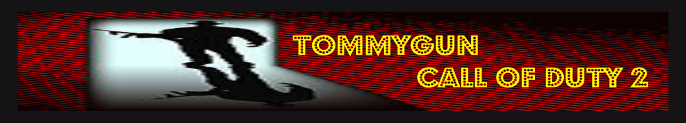 Tommygun Teamspeak3 Server Info
